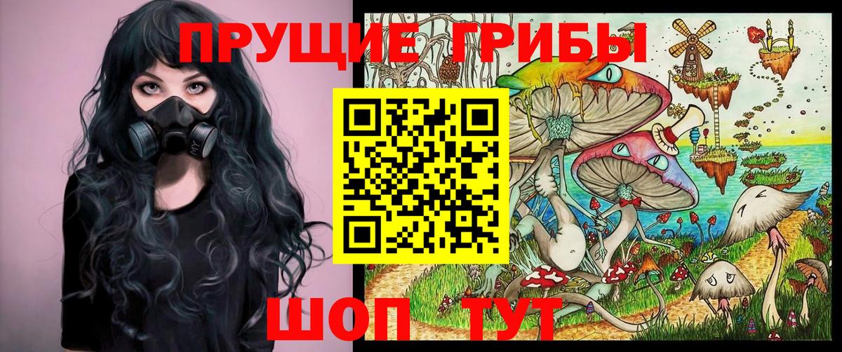 Псилоцибиновые грибы прущие грибы Хабаровск